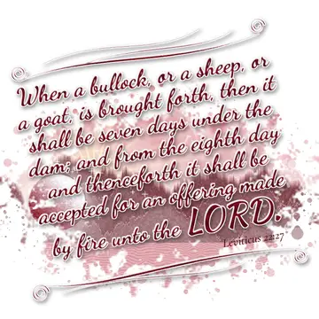Leviticus 22:27 – When a bullock, or a sheep, or a goat, is brought forth, then it shall be seven days under the dam; and from the eighth day and thenceforth it shall…