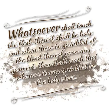 Leviticus 6:27 – Whatsoever shall touch the flesh thereof shall be holy: and when there is sprinkled of the blood thereof upon any garment, thou shalt wash that…