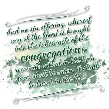 Leviticus 6:30 – And no sin offering, whereof any of the blood is brought into the tabernacle of the congregation to reconcile withal in the holy place, shall be…