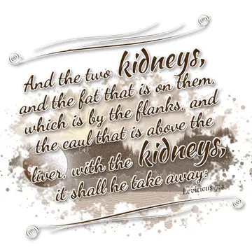 Leviticus 7:4 – And the two kidneys, and the fat that is on them, which is by the flanks, and the caul that is above the liver, with the kidneys, it shall he take…