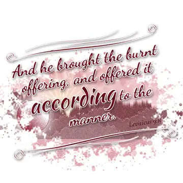 Leviticus 9:16 – And he brought the burnt offering, and offered it according to the manner.