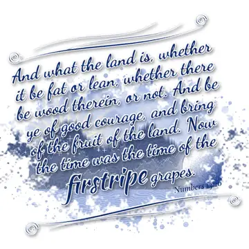 Numbers 13:20 – And what the land is, whether it be fat or lean, whether there be wood therein, or not. And be ye of good courage, and bring of the fruit of the…