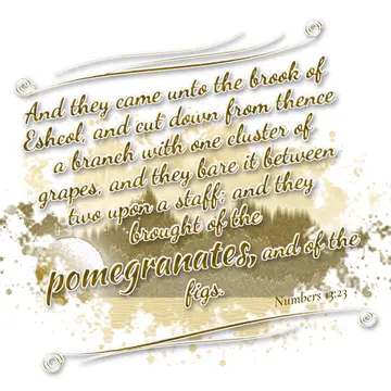 Numbers 13:23 – And they came unto the brook of Eshcol, and cut down from thence a branch with one cluster of grapes, and they bare it between two upon a staff; and…