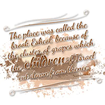 Numbers 13:24 – The place was called the brook Eshcol, because of the cluster of grapes which the children of Israel cut down from thence.