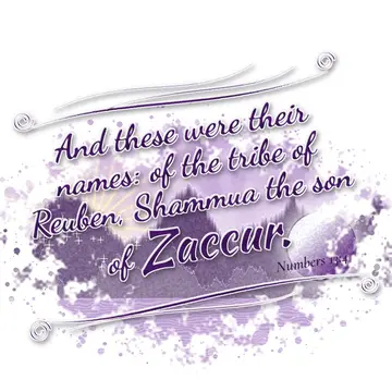 Numbers 13:4 – And these were their names: of the tribe of Reuben, Shammua the son of Zaccur.