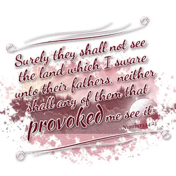 Numbers 14:23 – Surely they shall not see the land which I sware unto their fathers, neither shall any of them that provoked me see it: