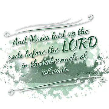 Numbers 17:7 – And Moses laid up the rods before the LORD in the tabernacle of witness.