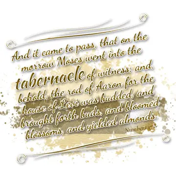 Numbers 17:8 – And it came to pass, that on the morrow Moses went into the tabernacle of witness; and, behold, the rod of Aaron for the house of Levi was budded…
