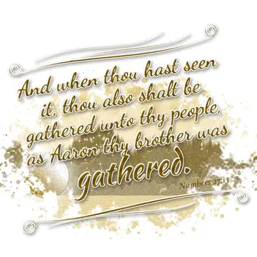 Numbers 27:13 – And when thou hast seen it, thou also shalt be gathered unto thy people, as Aaron thy brother was gathered.
