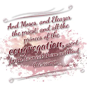 Numbers 31:13 – And Moses, and Eleazar the priest, and all the princes of the congregation, went forth to meet them without the camp.