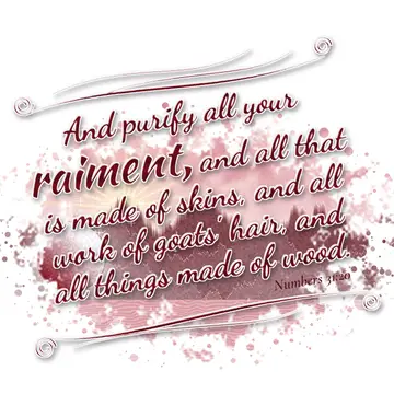 Numbers 31:20 – And purify all your raiment, and all that is made of skins, and all work of goats' hair, and all things made of wood.