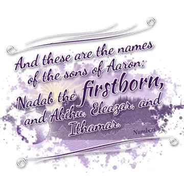Numbers 3:2 – And these are the names of the sons of Aaron; Nadab the firstborn, and Abihu, Eleazar, and Ithamar.