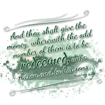 Numbers 3:48 – And thou shalt give the money, wherewith the odd number of them is to be redeemed, unto Aaron and to his sons.