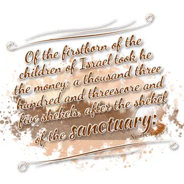 Numbers 3:50 – Of the firstborn of the children of Israel took he the money; a thousand three hundred and threescore and five shekels, after the shekel of the…