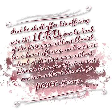 Numbers 6:14 – And he shall offer his offering unto the LORD, one he lamb of the first year without blemish for a burnt offering, and one ewe lamb of the first year…