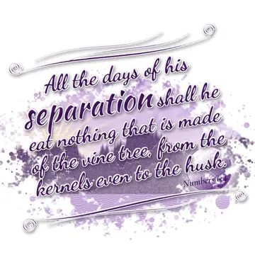 Numbers 6:4 – All the days of his separation shall he eat nothing that is made of the vine tree, from the kernels even to the husk.