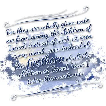 Numbers 8:16 – For they are wholly given unto me from among the children of Israel; instead of such as open every womb, even instead of the firstborn of all the…