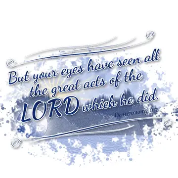 Deuteronomy 11:7 – But your eyes have seen all the great acts of the LORD which he did.