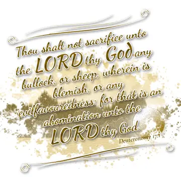 Deuteronomy 17:1 – Thou shalt not sacrifice unto the LORD thy God any bullock, or sheep, wherein is blemish, or any evilfavouredness: for that is an…