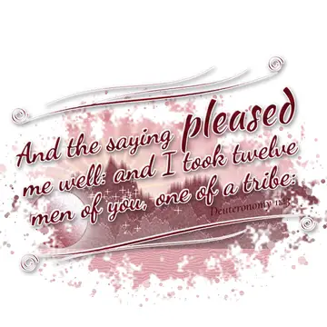 Deuteronomy 1:23 – And the saying pleased me well: and I took twelve men of you, one of a tribe: