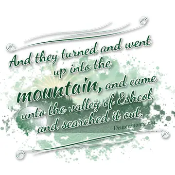 Deuteronomy 1:24 – And they turned and went up into the mountain, and came unto the valley of Eshcol, and searched it out.