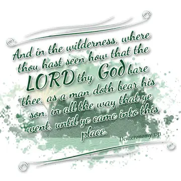 Deuteronomy 1:31 – And in the wilderness, where thou hast seen how that the LORD thy God bare thee, as a man doth bear his son, in all the way that ye went, until ye…