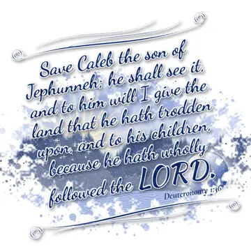 Deuteronomy 1:36 – Save Caleb the son of Jephunneh; he shall see it, and to him will I give the land that he hath trodden upon, and to his children, because he hath…