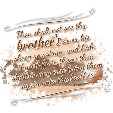 Deuteronomy 22:1 – Thou shalt not see thy brother's ox or his sheep go astray, and hide thyself from them: thou shalt in any case bring them again unto thy…