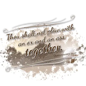 Deuteronomy 22:10 – Thou shalt not plow with an ox and an ass together.