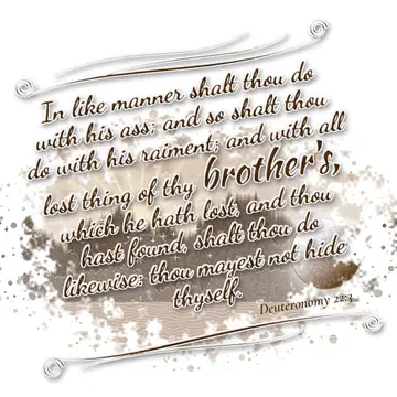 Deuteronomy 22:3 – In like manner shalt thou do with his ass; and so shalt thou do with his raiment; and with all lost thing of thy brother's, which he hath lost, and…
