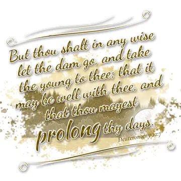 Deuteronomy 22:7 – But thou shalt in any wise let the dam go, and take the young to thee; that it may be well with thee, and that thou mayest prolong thy days.
