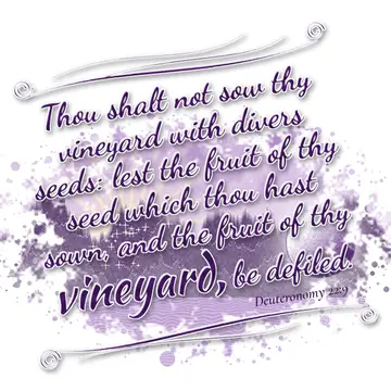 Deuteronomy 22:9 – Thou shalt not sow thy vineyard with divers seeds: lest the fruit of thy seed which thou hast sown, and the fruit of thy vineyard, be defiled.