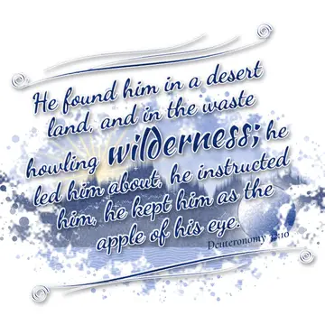 Deuteronomy 32:10 – He found him in a desert land, and in the waste howling wilderness; he led him about, he instructed him, he kept him as the apple of his eye.