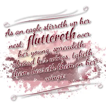 Deuteronomy 32:11 – As an eagle stirreth up her nest, fluttereth over her young, spreadeth abroad her wings, taketh them, beareth them on her wings: