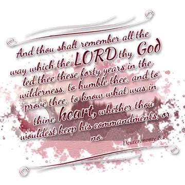 Deuteronomy 8:2 – And thou shalt remember all the way which the LORD thy God led thee these forty years in the wilderness, to humble thee, and to prove thee, to know…
