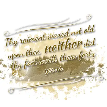Deuteronomy 8:4 – Thy raiment waxed not old upon thee, neither did thy foot swell, these forty years.