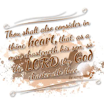 Deuteronomy 8:5 – Thou shalt also consider in thine heart, that, as a man chasteneth his son, so the LORD thy God chasteneth thee.