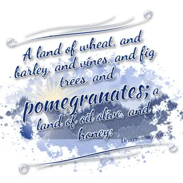 Deuteronomy 8:8 – A land of wheat, and barley, and vines, and fig trees, and pomegranates; a land of oil olive, and honey;