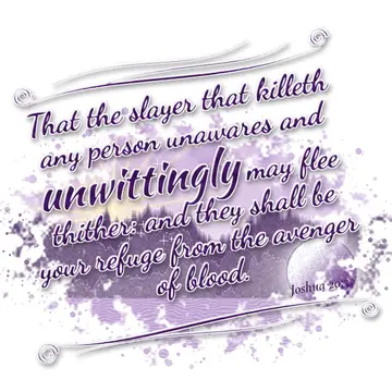 Joshua 20:3 – That the slayer that killeth any person unawares and unwittingly may flee thither: and they shall be your refuge from the avenger of blood.
