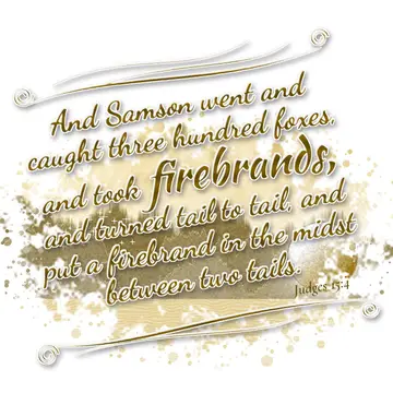 Judges 15:4 – And Samson went and caught three hundred foxes, and took firebrands, and turned tail to tail, and put a firebrand in the midst between two tails.