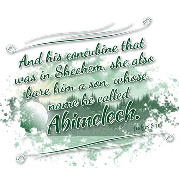 Judges 8:31 – And his concubine that was in Shechem, she also bare him a son, whose name he called Abimelech.
