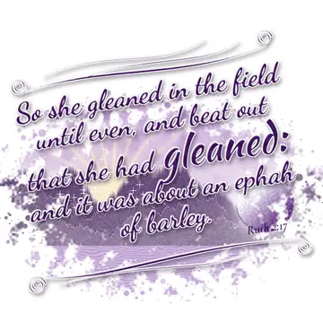 Ruth 2:17 – So she gleaned in the field until even, and beat out that she had gleaned: and it was about an ephah of barley.