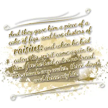 1 Samuel 30:12 – And they gave him a piece of a cake of figs, and two clusters of raisins: and when he had eaten, his spirit came again to him: for he had eaten no…