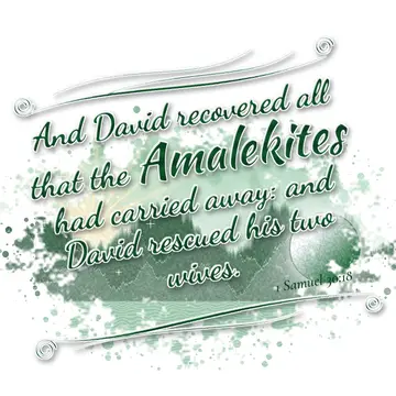 1 Samuel 30:18 – And David recovered all that the Amalekites had carried away: and David rescued his two wives.