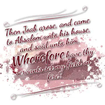2 Samuel 14:31 – Then Joab arose, and came to Absalom unto his house, and said unto him, Wherefore have thy servants set my field on fire?
