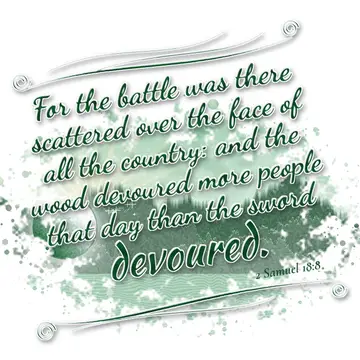 2 Samuel 18:8 – For the battle was there scattered over the face of all the country: and the wood devoured more people that day than the sword devoured.