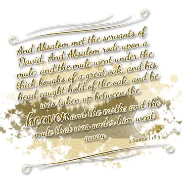 2 Samuel 18:9 – And Absalom met the servants of David. And Absalom rode upon a mule, and the mule went under the thick boughs of a great oak, and his head caught…