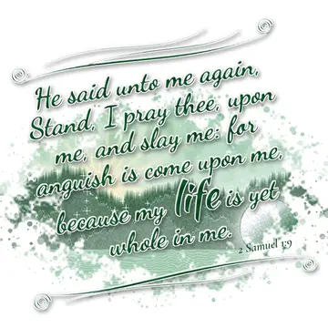 2 Samuel 1:9 – He said unto me again, Stand, I pray thee, upon me, and slay me: for anguish is come upon me, because my life is yet whole in me.