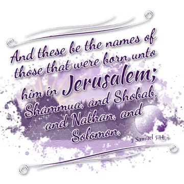 2 Samuel 5:14 – And these be the names of those that were born unto him in Jerusalem; Shammua, and Shobab, and Nathan, and Solomon,