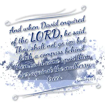 2 Samuel 5:23 – And when David enquired of the LORD, he said, Thou shalt not go up; but fetch a compass behind them, and come upon them over against the mulberry…